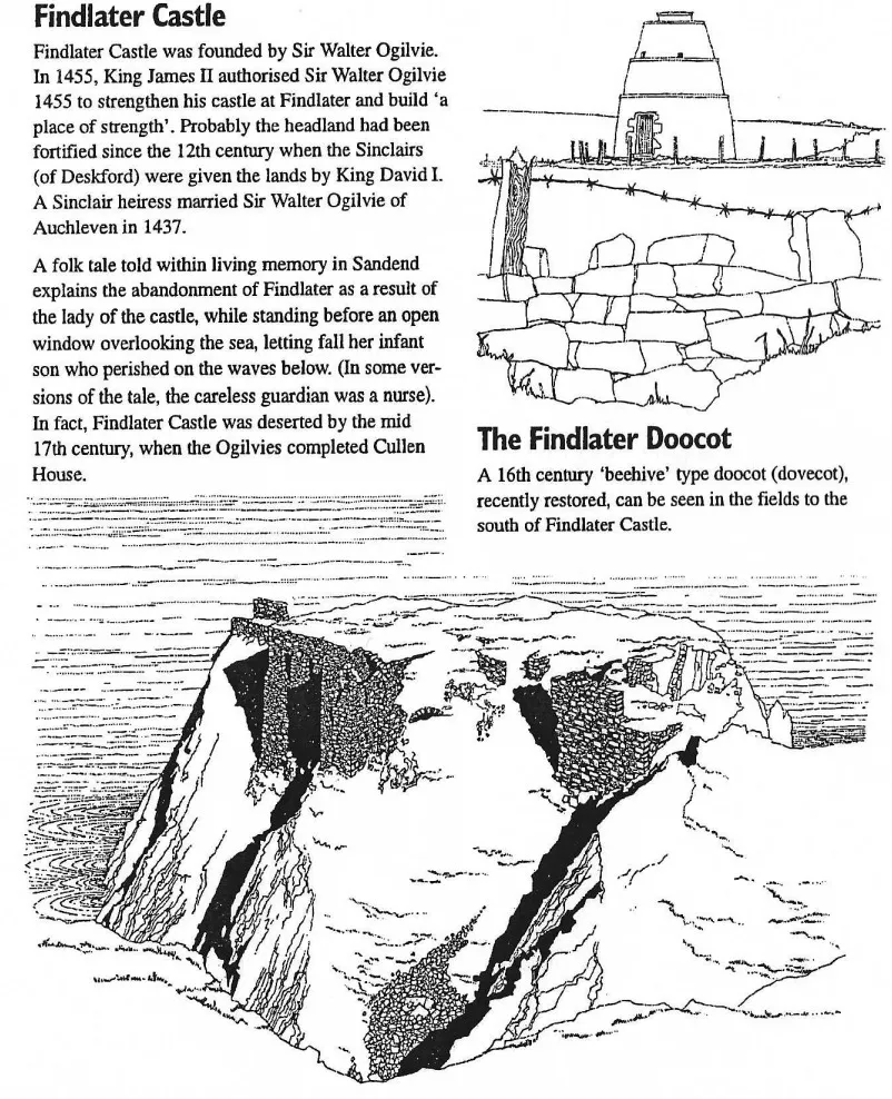 Findlater