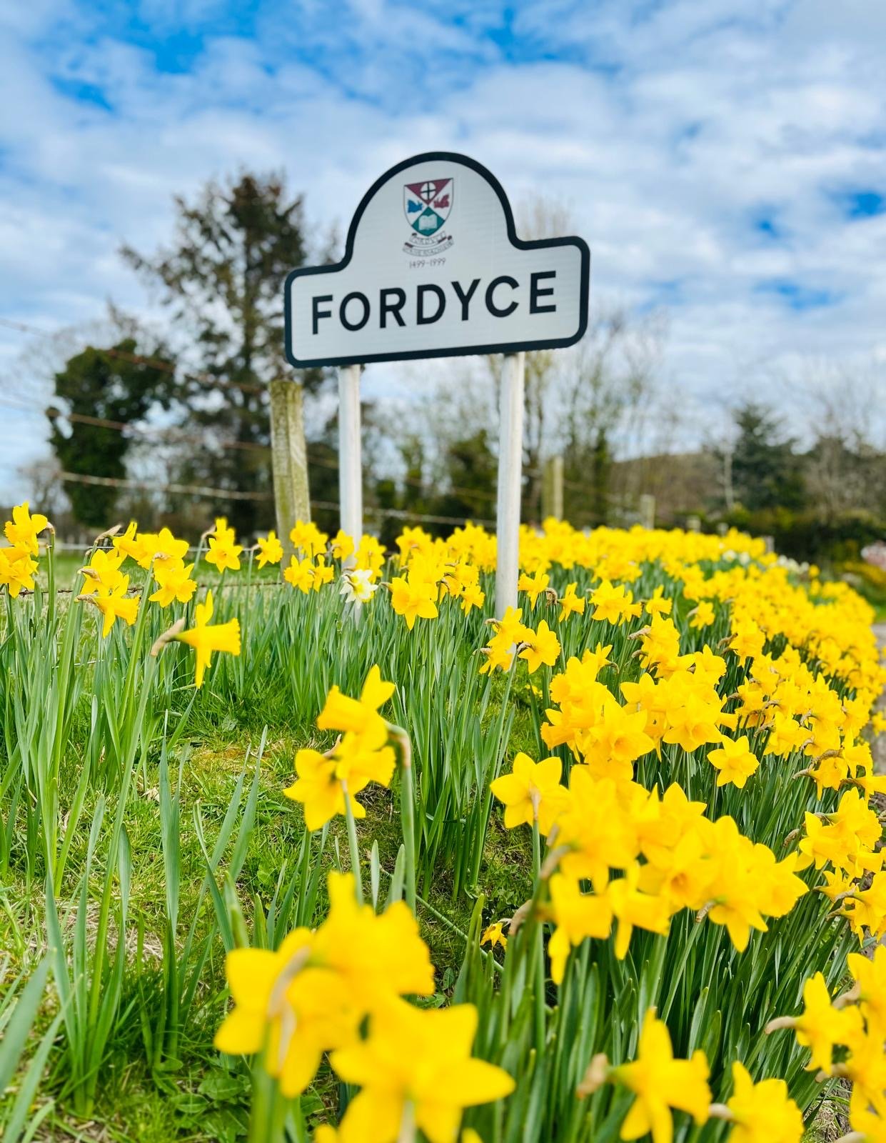 Fordyce sign in field of daffodils
